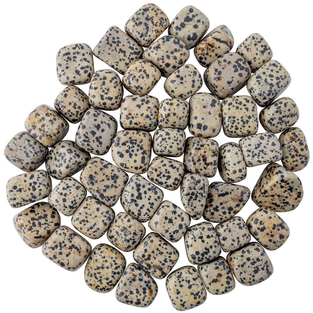 Dalmation Jasper tumblestone medium