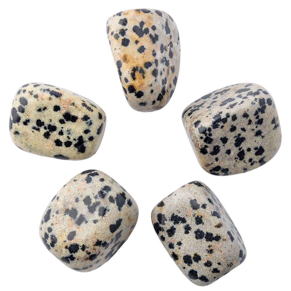 Dalmation Jasper tumblestone medium