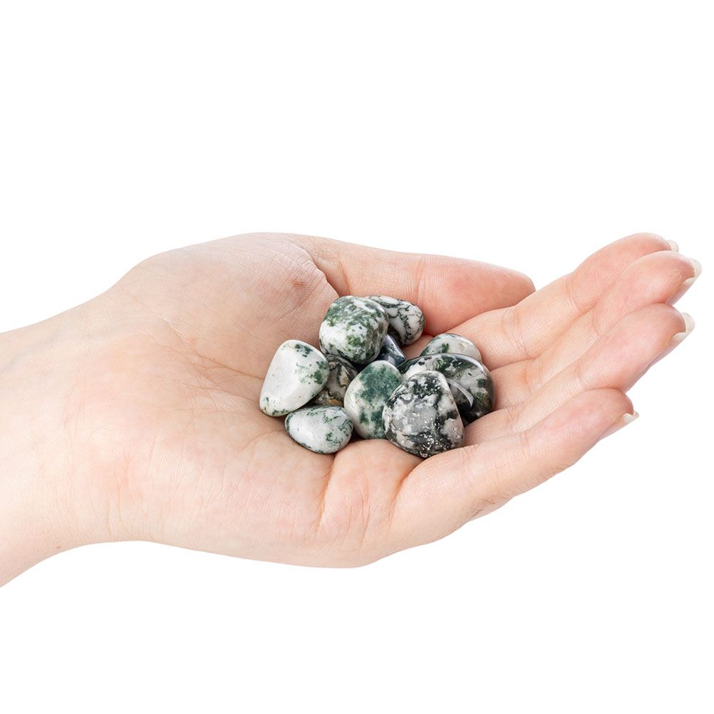 Tree Agate Small Tumblestone