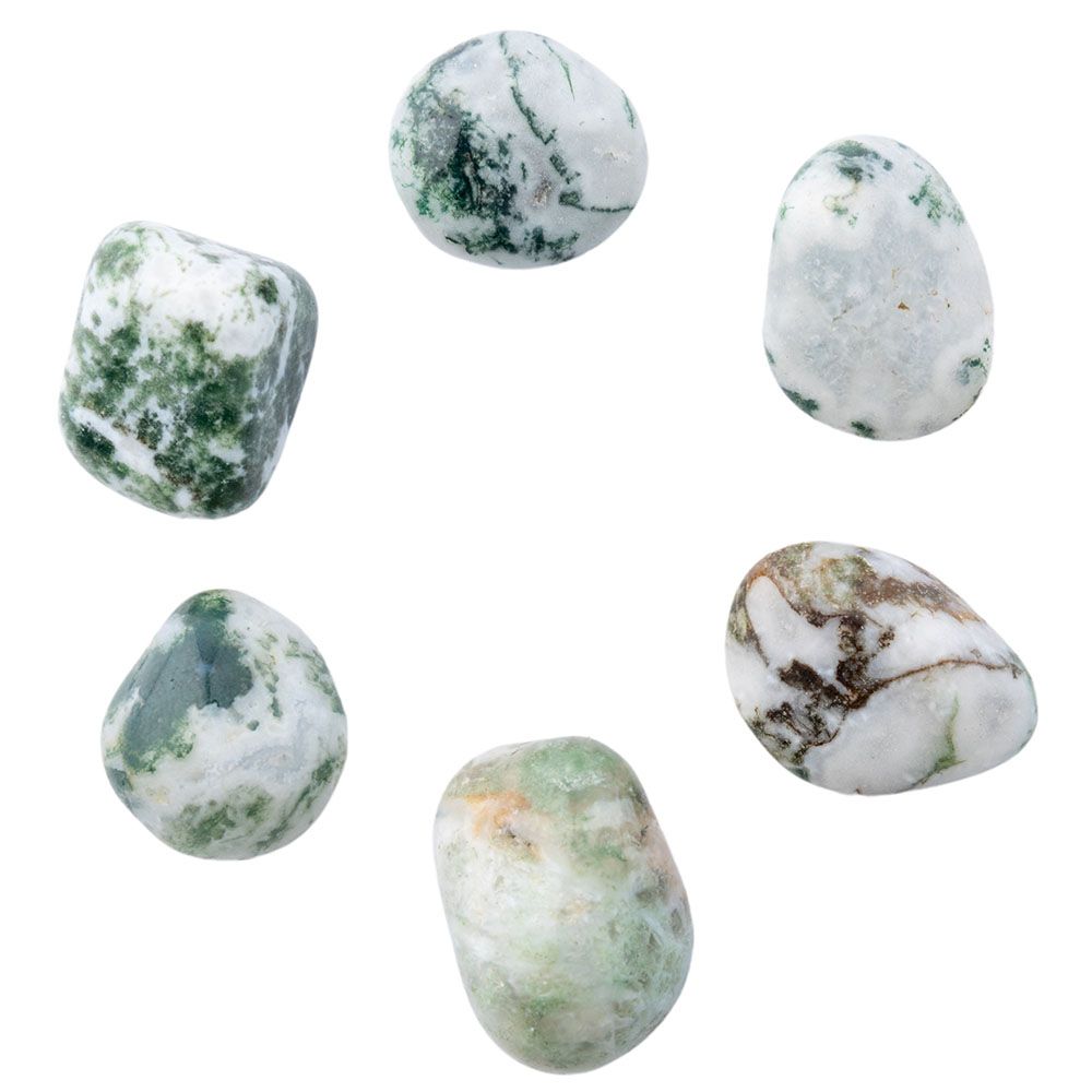 Tree Agate Small Tumblestone