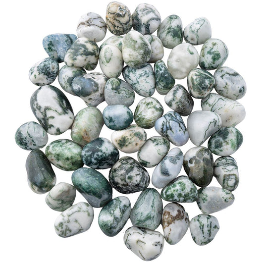 Tree Agate Small Tumblestone